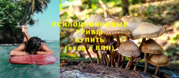 гашик Армянск