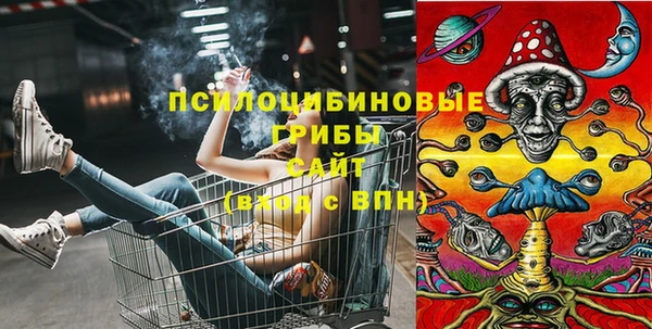 гашик Армянск