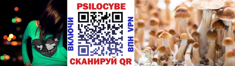 Псилоцибиновые грибы прущие грибы  Североуральск 